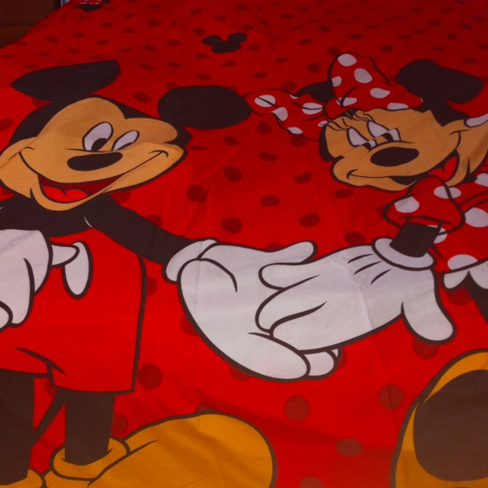 Disney Mickey and Minnie shower curtain